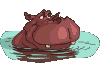 hippopotame_déjeuner
