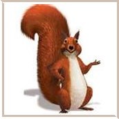 cassenoisettesencadré