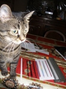 Nour massicot Nour massicot