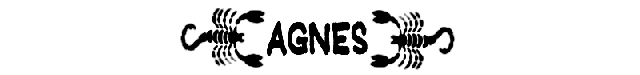 AGNES2scorpions