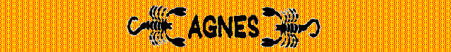 AGNESscorpions