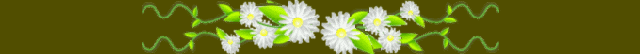 Marguerites