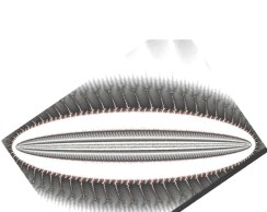 fractopolisthumb-free-fractal-wallpaper-high-resolution-3697nbh