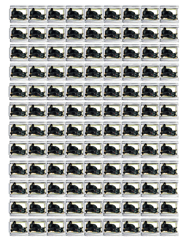 PLANCHE ITCH ChatNoir