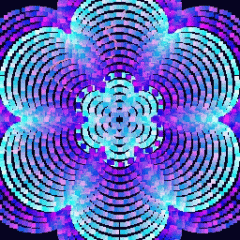 rose bleue rose bleue