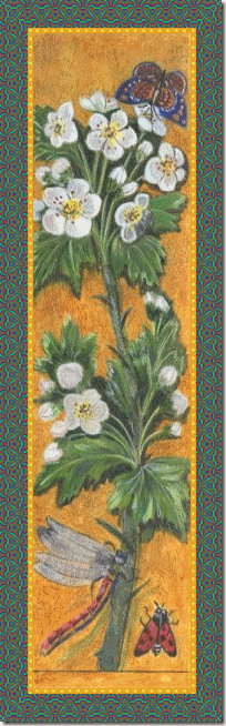 Aubepin lum 35 cons 10pn004