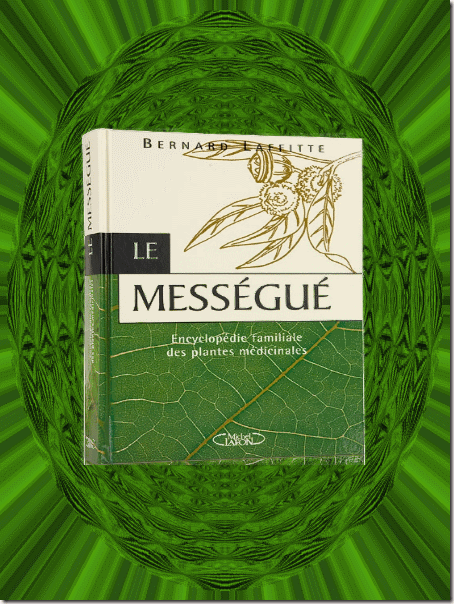 Le Messegue
