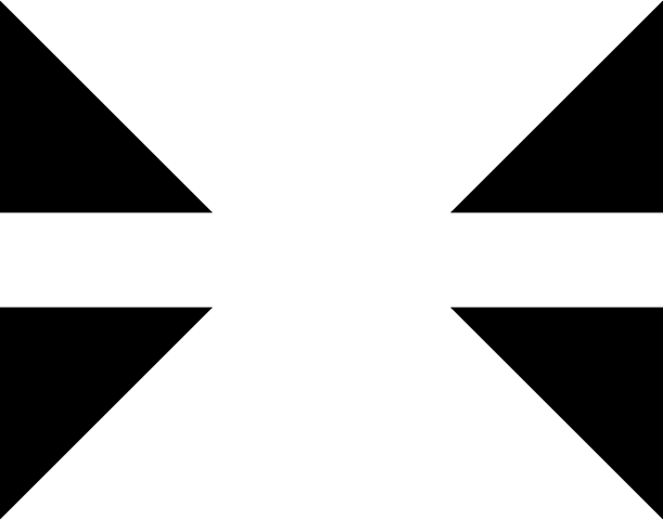 MASQUE-POCHOIR 700 550