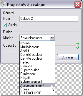 Copie de ScreenShot008