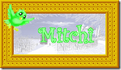 2011 01 16 C mitch&icirc;