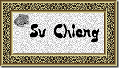 2011 01 21 B ARGENT su chieng