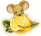 mice_20lemon_20mouse.gif_480_480_0_64000_0_1_0