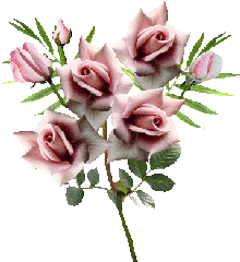 BOUQUET-FLEUR-ROSE-0501093