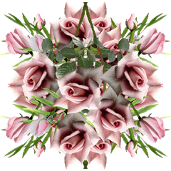 BOUQUET-FLEUR-ROSE-0501093''