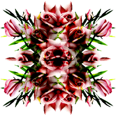 BOUQUET-FLEUR-ROSE-0501093'''''